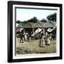 Seville (Spain), Vendors Selling Fried Foods at the Fair-Leon, Levy et Fils-Framed Photographic Print