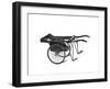 Sewing Machine Truck-null-Framed Giclee Print