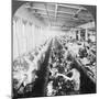 Sewing Room in a Large Shoe Factory, Syracuse, New York, USA, Early 20th Century-null-Mounted Photographic Print