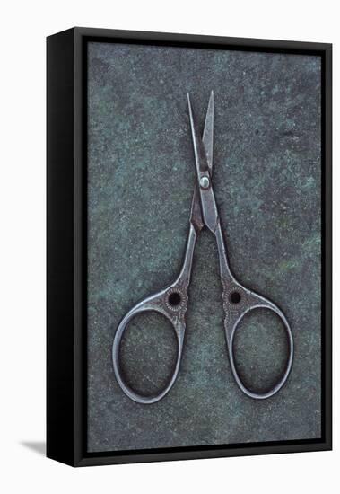 Sewing Scissors-Den Reader-Framed Stretched Canvas