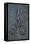 Sewing Scissors-Den Reader-Framed Stretched Canvas