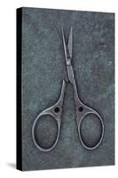 Sewing Scissors-Den Reader-Stretched Canvas