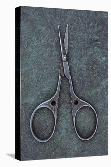 Sewing Scissors-Den Reader-Stretched Canvas