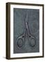 Sewing Scissors-Den Reader-Framed Photographic Print