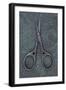 Sewing Scissors-Den Reader-Framed Photographic Print