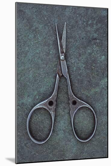 Sewing Scissors-Den Reader-Mounted Photographic Print