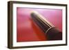 Sex Toy-Cristina-Framed Photographic Print