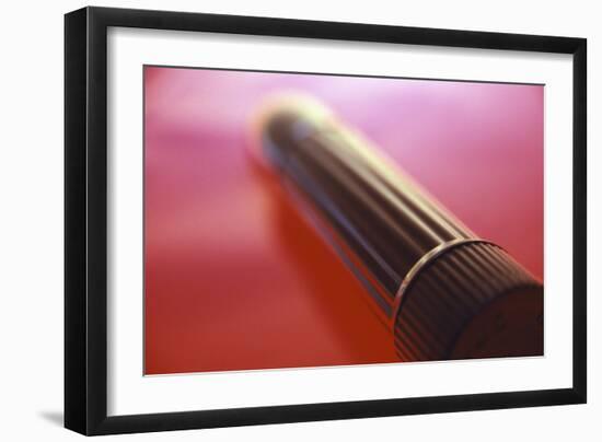 Sex Toy-Cristina-Framed Photographic Print