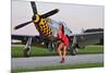 Sexy 1940's Style Pin-Up Girl Posing with a P-51 Mustang-null-Mounted Photographic Print