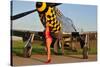 Sexy 1940's Style Pin-Up Girl Posing with a P-51 Mustang-null-Stretched Canvas