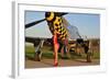 Sexy 1940's Style Pin-Up Girl Posing with a P-51 Mustang-null-Framed Photographic Print