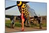 Sexy 1940's Style Pin-Up Girl Posing with a P-51 Mustang-null-Mounted Photographic Print