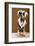 Sexy Chinese Crested Hairless Sporting A Cool Coat And Glasses-Candicecunningham-Framed Photographic Print