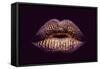 Sexy Female Golden or Gold Lips Isolated on Black Background as Makeup or Body Art Painted Mouth Me-Volodymyr Tverdokhlib-Framed Stretched Canvas