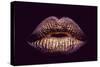 Sexy Female Golden or Gold Lips Isolated on Black Background as Makeup or Body Art Painted Mouth Me-Volodymyr Tverdokhlib-Stretched Canvas