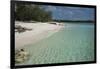 Seychelles, Aldabra Island Group, Aldabra Atoll, Picard Island. Remote pristine white sand beach.-Cindy Miller Hopkins-Framed Photographic Print