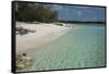 Seychelles, Aldabra Island Group, Aldabra Atoll, Picard Island. Remote pristine white sand beach.-Cindy Miller Hopkins-Framed Stretched Canvas