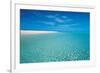 Seychelles Beach-null-Framed Premium Giclee Print