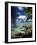 Seychelles, Indian Ocean, Africa-Harding Robert-Framed Photographic Print