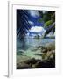 Seychelles, Indian Ocean, Africa-Harding Robert-Framed Photographic Print