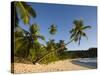 Seychelles, Mahe Island, Anse Takamaka Beach, Palm-Walter Bibikow-Stretched Canvas