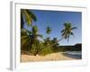 Seychelles, Mahe Island, Anse Takamaka Beach, Palm-Walter Bibikow-Framed Photographic Print