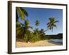 Seychelles, Mahe Island, Anse Takamaka Beach, Palm-Walter Bibikow-Framed Photographic Print