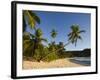 Seychelles, Mahe Island, Anse Takamaka Beach, Palm-Walter Bibikow-Framed Photographic Print