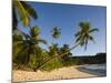 Seychelles, Mahe Island, Anse Takamaka Beach, Palm-Walter Bibikow-Mounted Photographic Print