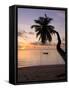 Seychelles, Mahe Island, Horizontal Palm, Fairyland Beach, Dawn-Walter Bibikow-Framed Stretched Canvas