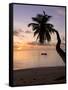 Seychelles, Mahe Island, Horizontal Palm, Fairyland Beach, Dawn-Walter Bibikow-Framed Stretched Canvas