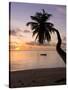 Seychelles, Mahe Island, Horizontal Palm, Fairyland Beach, Dawn-Walter Bibikow-Stretched Canvas