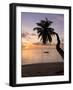 Seychelles, Mahe Island, Horizontal Palm, Fairyland Beach, Dawn-Walter Bibikow-Framed Photographic Print