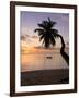 Seychelles, Mahe Island, Horizontal Palm, Fairyland Beach, Dawn-Walter Bibikow-Framed Photographic Print