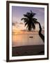 Seychelles, Mahe Island, Horizontal Palm, Fairyland Beach, Dawn-Walter Bibikow-Framed Photographic Print