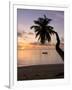 Seychelles, Mahe Island, Horizontal Palm, Fairyland Beach, Dawn-Walter Bibikow-Framed Photographic Print