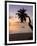 Seychelles, Mahe Island, Horizontal Palm, Fairyland Beach, Dawn-Walter Bibikow-Framed Photographic Print