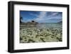 Seychelles, Mahe, St. Anne Marine NP. View of Moyenne Island-Cindy Miller Hopkins-Framed Photographic Print