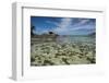 Seychelles, Mahe, St. Anne Marine NP. View of Moyenne Island-Cindy Miller Hopkins-Framed Photographic Print