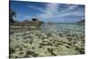 Seychelles, Mahe, St. Anne Marine NP. View of Moyenne Island-Cindy Miller Hopkins-Stretched Canvas