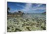 Seychelles, Mahe, St. Anne Marine NP. View of Moyenne Island-Cindy Miller Hopkins-Framed Photographic Print