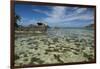 Seychelles, Mahe, St. Anne Marine NP. View of Moyenne Island-Cindy Miller Hopkins-Framed Photographic Print