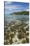 Seychelles, Mahe, St. Anne Marine NP. View of Moyenne Island-Cindy Miller Hopkins-Stretched Canvas