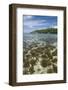 Seychelles, Mahe, St. Anne Marine NP. View of Moyenne Island-Cindy Miller Hopkins-Framed Photographic Print