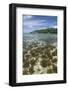 Seychelles, Mahe, St. Anne Marine NP. View of Moyenne Island-Cindy Miller Hopkins-Framed Photographic Print