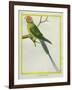 Seychelles Parakeet-Georges-Louis Buffon-Framed Giclee Print