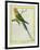 Seychelles Parakeet-Georges-Louis Buffon-Framed Giclee Print