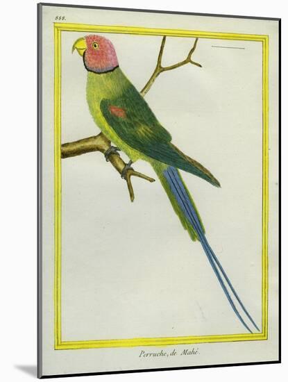 Seychelles Parakeet-Georges-Louis Buffon-Mounted Giclee Print