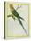 Seychelles Parakeet-Georges-Louis Buffon-Stretched Canvas