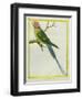 Seychelles Parakeet-Georges-Louis Buffon-Framed Giclee Print